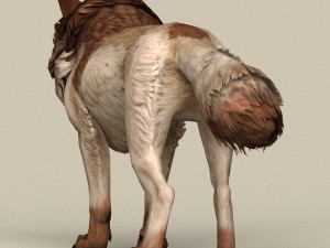 game ready brown wolf 3D-Modell