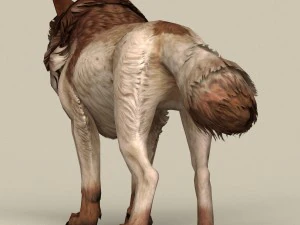 jogo pronto lobo marrom Modelo 3D
