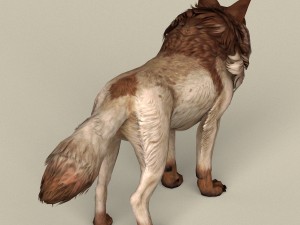 game ready brown wolf 3D-Modell