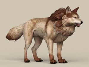 game ready brown wolf 3D-Modell