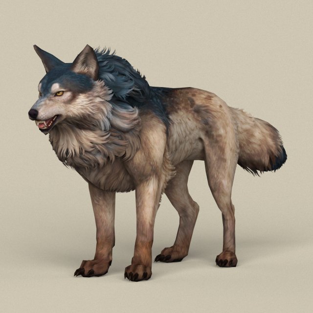 game ready wild wolf 3D Model .c4d .max .obj .3ds .fbx .stl .blend 