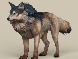 game ready wild wolf 3D Model