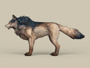 game ready wild wolf 3D Model
