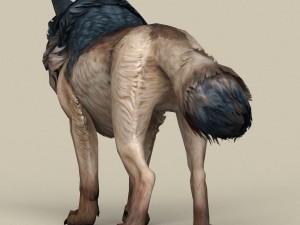 game ready wild wolf 3D Model