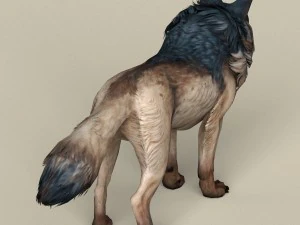 game ready wild wolf 3D Model