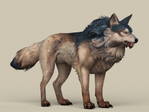 game ready wild wolf 3D Model