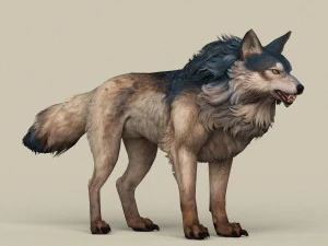 game ready wild wolf 3D Model