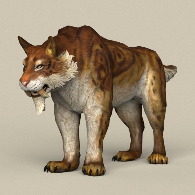 game ready sabertooth Model 3D .c4d .max .obj .3ds .fbx .stl .blend 
