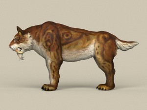 game ready sabertooth Model 3D