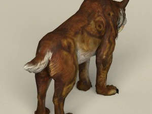 game ready sabertooth 3D Model