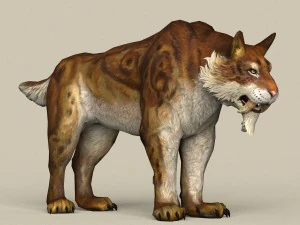 game ready sabertooth 3D Model