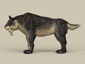 game ready fantasy sabertooth 3D मॉडल