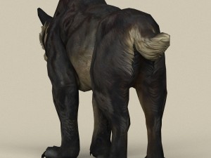 game ready fantasy sabertooth 3D मॉडल