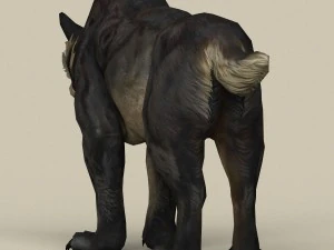 game ready fantasy sabertooth 3D Model