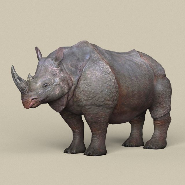 game ready rhinoceros Model 3D .c4d .max .obj .3ds .fbx .stl .blend 
