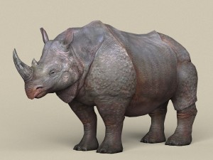 game ready rhinoceros 3D-Modell