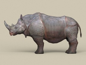 game ready rhinoceros Model 3D
