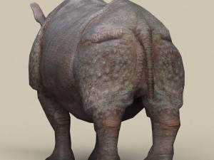 game ready rhinoceros Model 3D