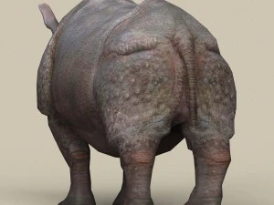 game ready rhinoceros 3D Model