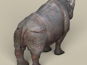 game ready rhinoceros Model 3D