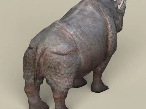 game ready rhinoceros 3D Model