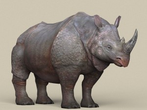 game ready rhinoceros Model 3D