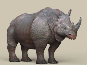 game ready rhinoceros 3D Model