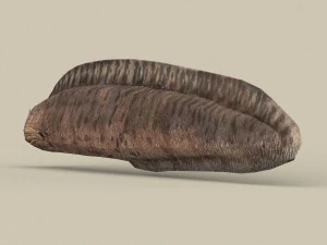 game ready moray fish 3D Model