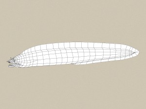 game ready moray fish 3D Модель