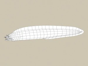 game ready moray fish 3D Model