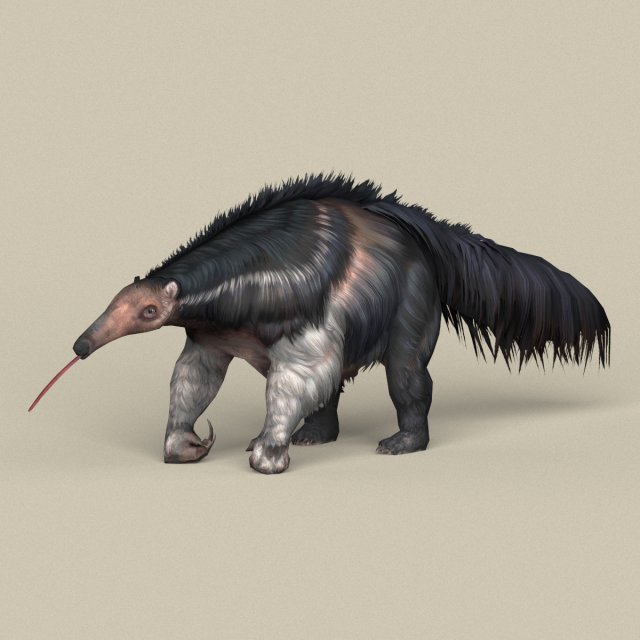 game ready myrmecophagidae 3D Model .c4d .max .obj .3ds .fbx .stl .blend 