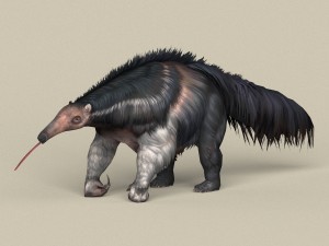 game ready myrmecophagidae 3D Model