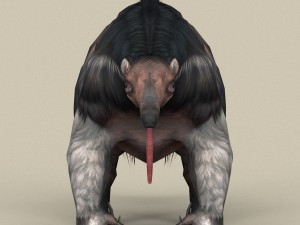 game ready myrmecophagidae 3D Model