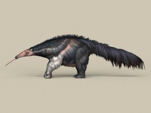 game ready myrmecophagidae 3D Model