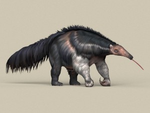 game ready myrmecophagidae 3D Model