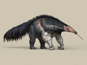 game ready myrmecophagidae 3D Model