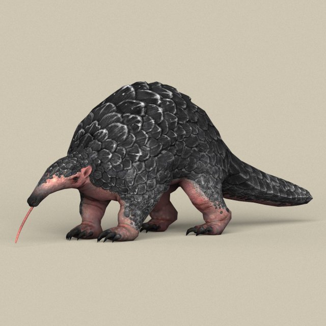 game ready pangolin 3D Model .c4d .max .obj .3ds .fbx .stl .blend 