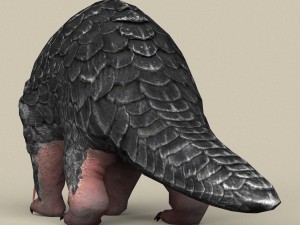 game ready pangolin 3D Model
