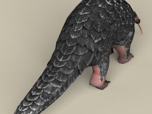 game ready pangolin 3D Model