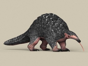 game ready pangolin 3D Model