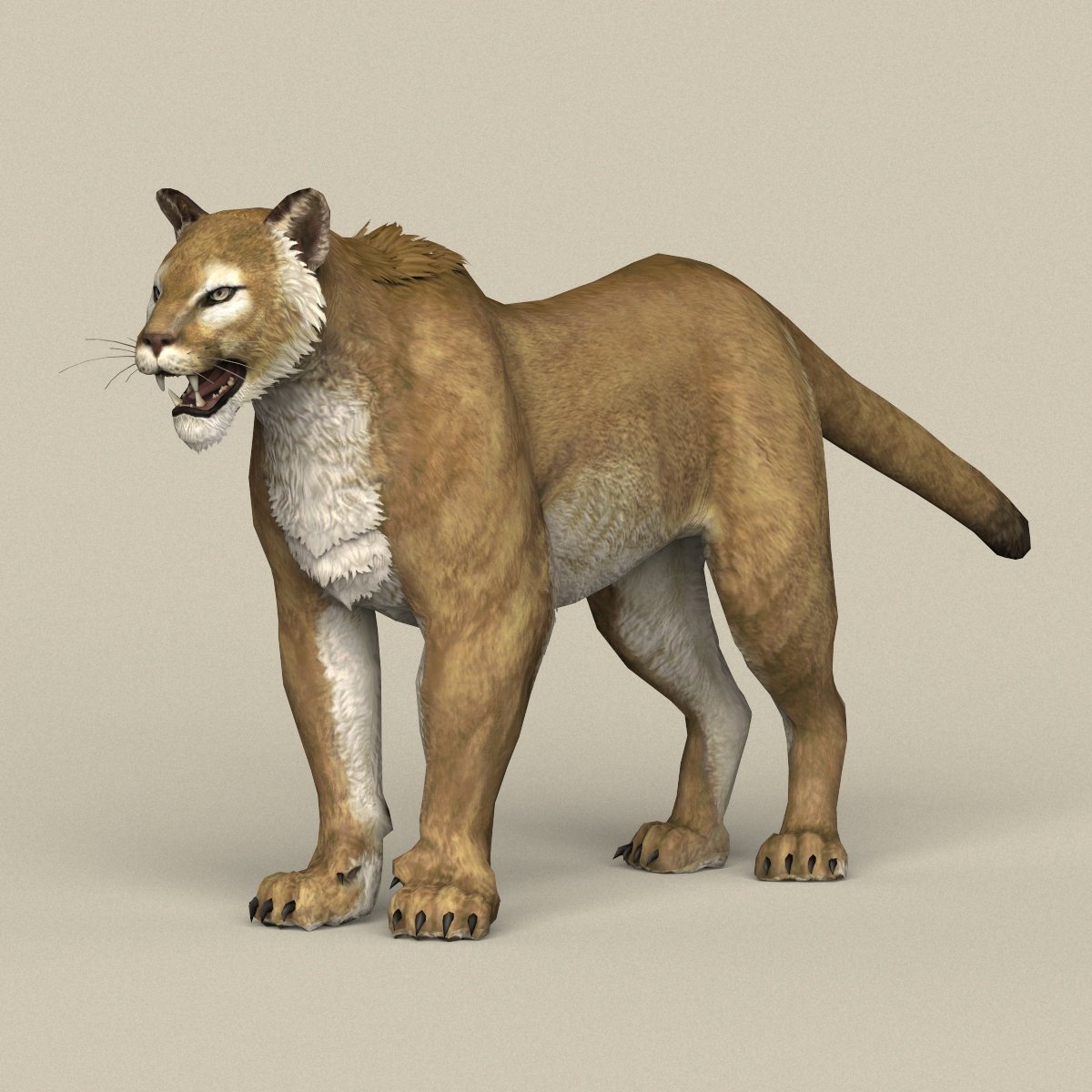 Ready Puma 3D Model in Wildlife 3DExport
