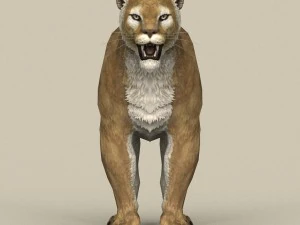 game ready puma 3D Model