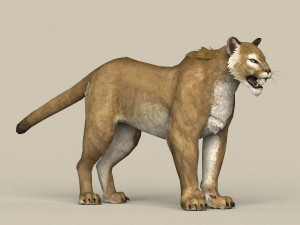 game ready puma 3D Model