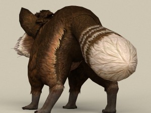 game ready raccoon Modello 3D
