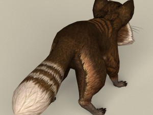 game ready raccoon Modello 3D