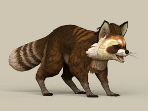 game ready raccoon 3D Model