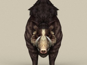 game ready fantasy boar 3D Модель