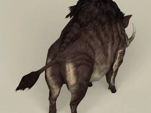 game ready fantasy boar 3D Model