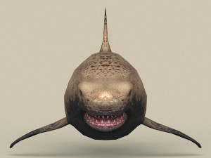 game ready shark Model 3D