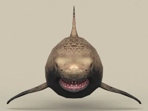 game ready shark 3D Model